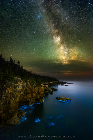 Illustration for article titled Behold the Ghostly Glow of a Bioluminescent Coastline Under the Milky Way